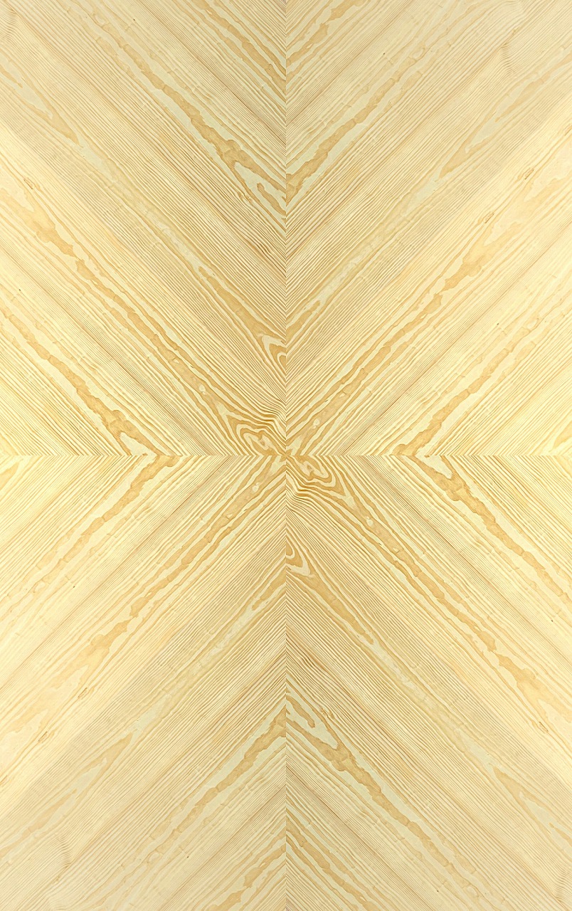 ビッグイエローパイン